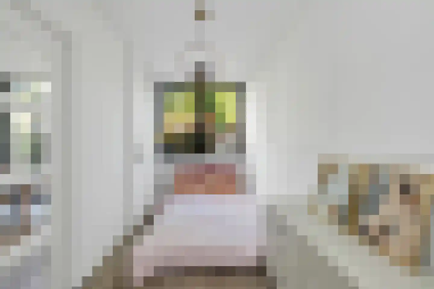 Bloys van Treslongstraat 58 1 Amsterdam thumbnail 31