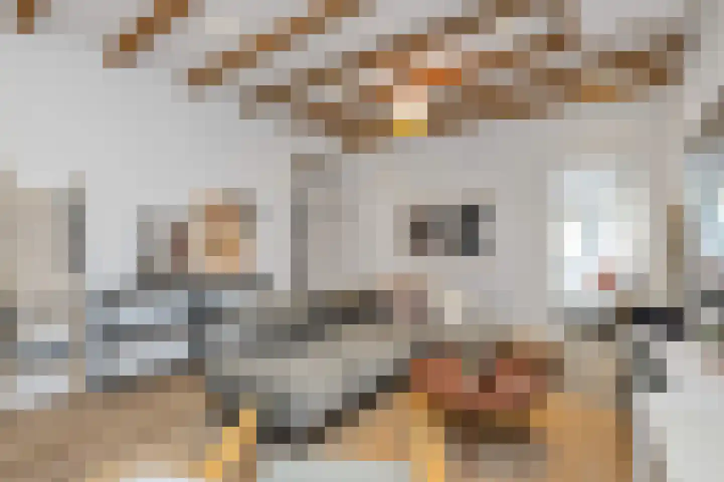 Bloys van Treslongstraat 58 1 Amsterdam thumbnail 4