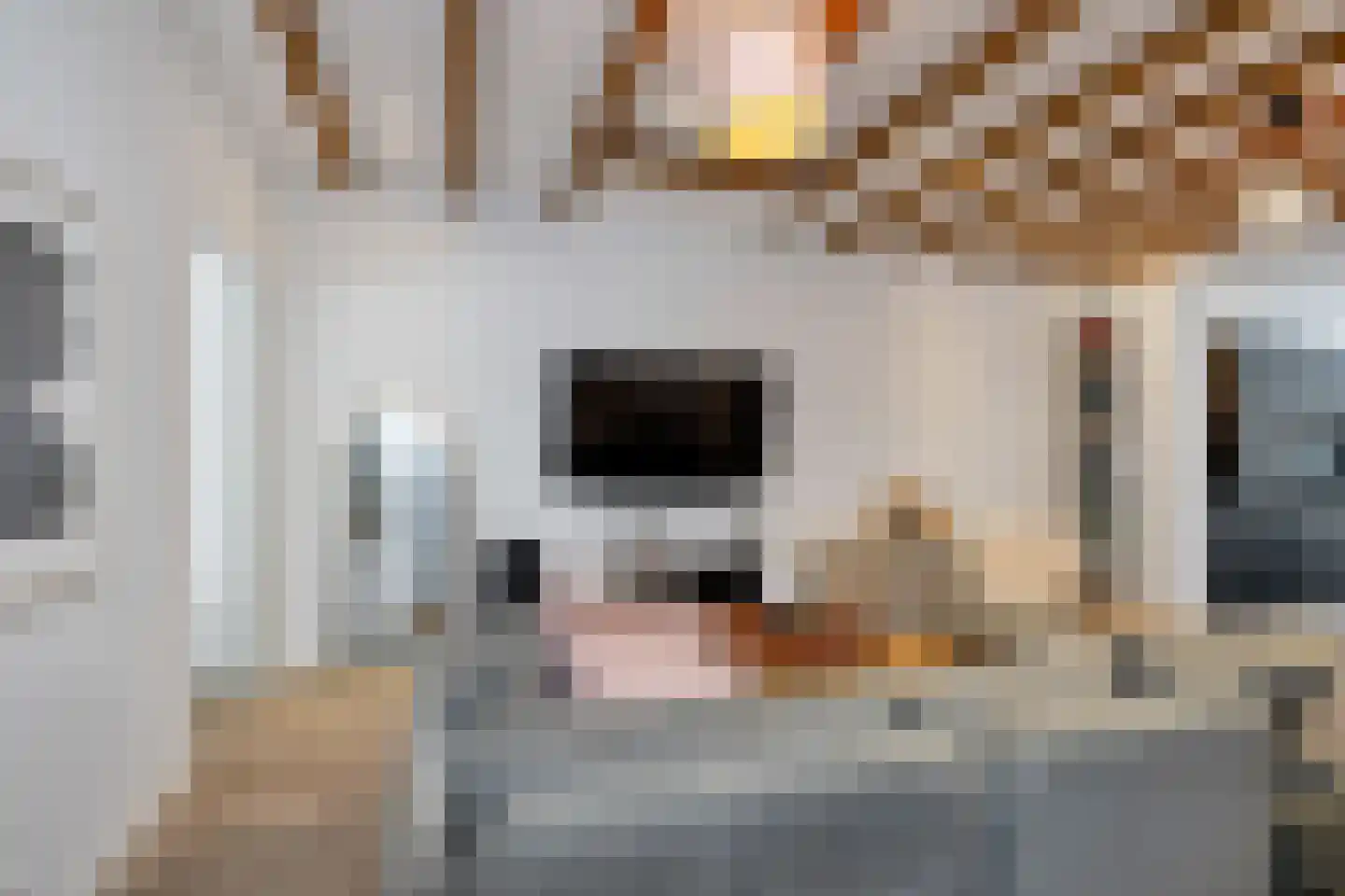 Bloys van Treslongstraat 58 1 Amsterdam thumbnail 7
