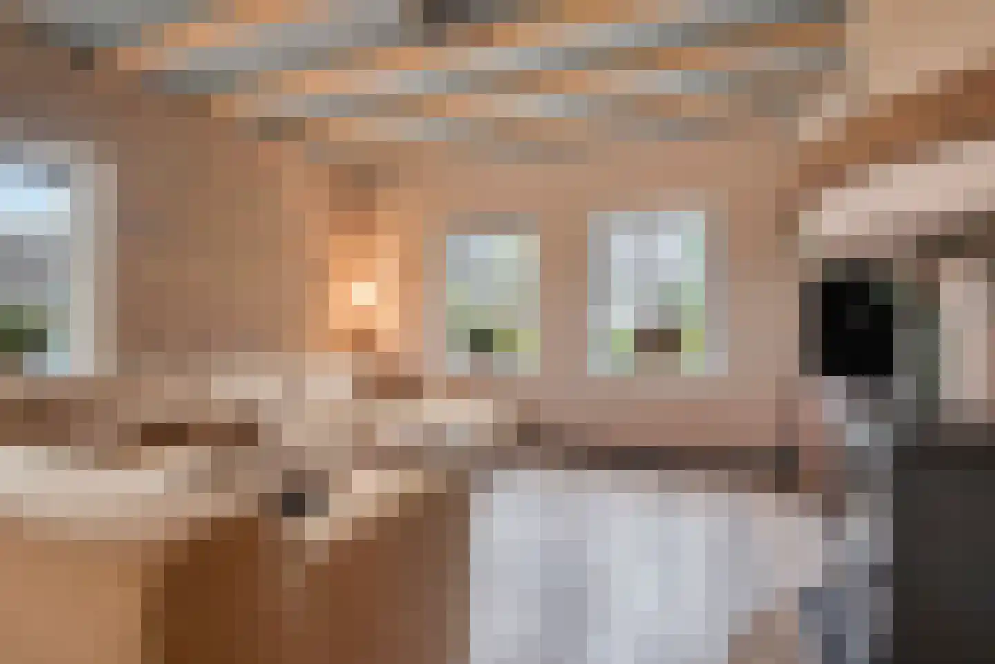 Blozekriekske 11 Nieuw-Vossemeer thumbnail 10