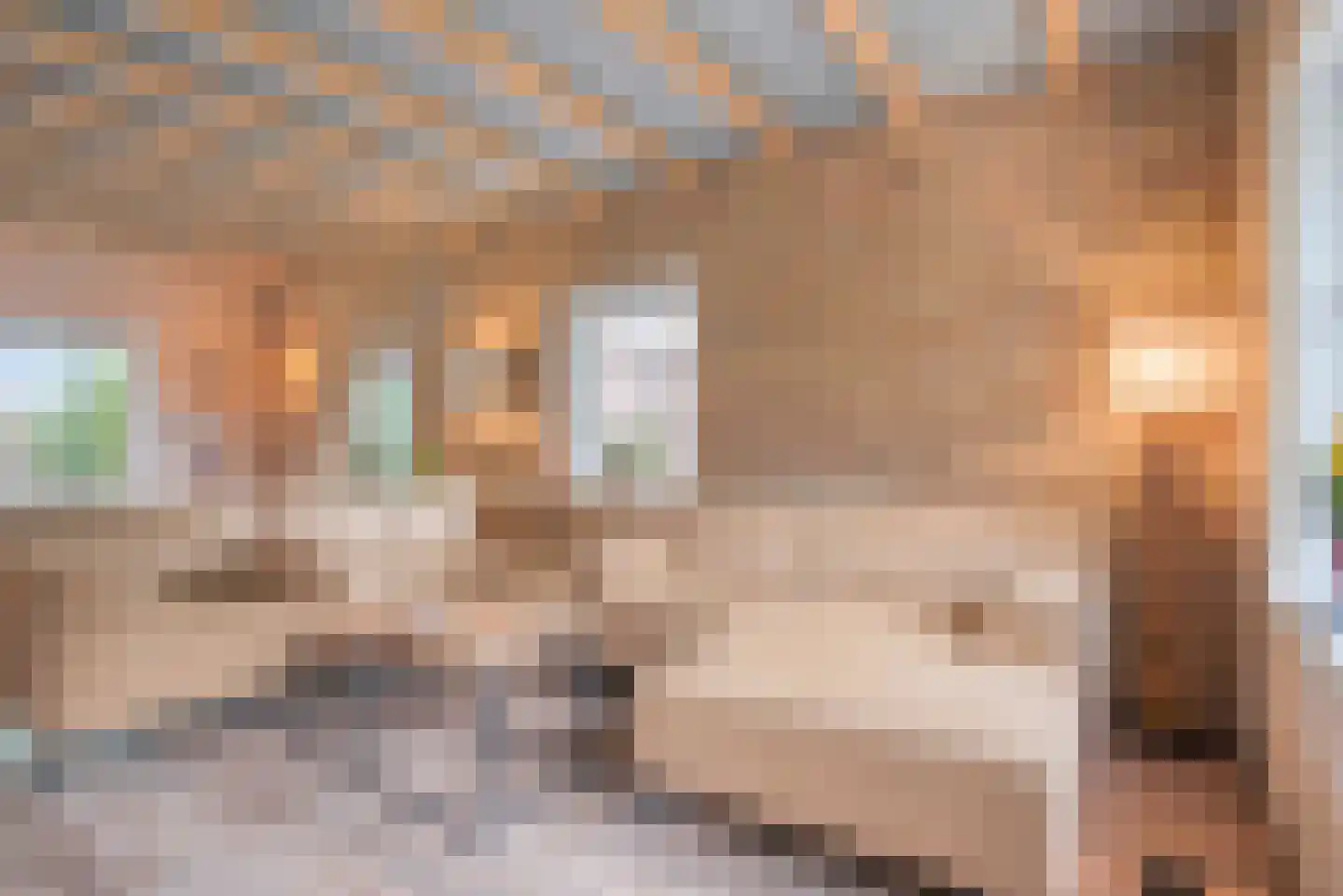 Blozekriekske 11 Nieuw-Vossemeer thumbnail 11