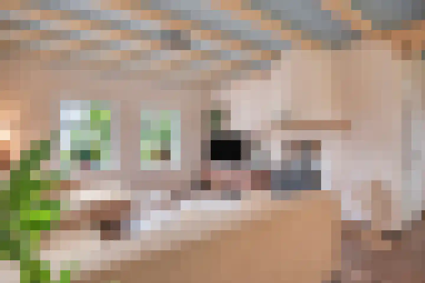 Blozekriekske 11 Nieuw-Vossemeer thumbnail 15