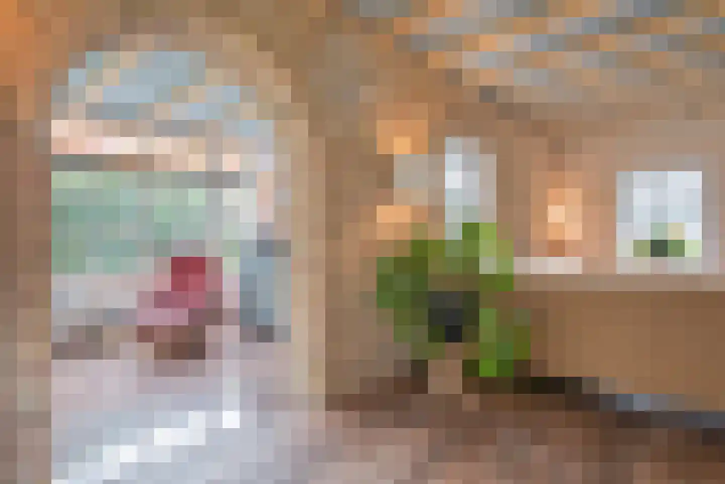 Blozekriekske 11 Nieuw-Vossemeer thumbnail 16