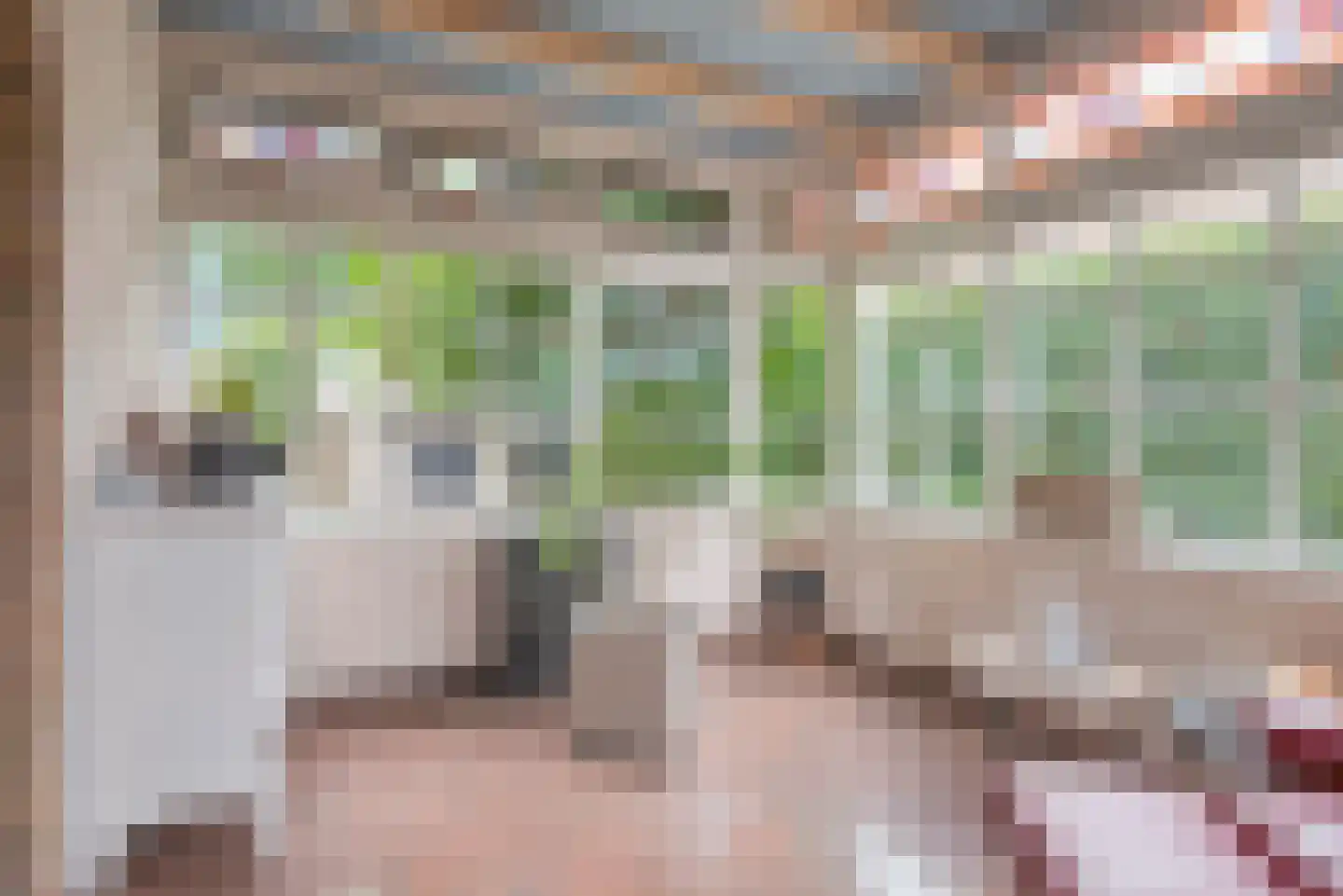 Blozekriekske 11 Nieuw-Vossemeer thumbnail 18