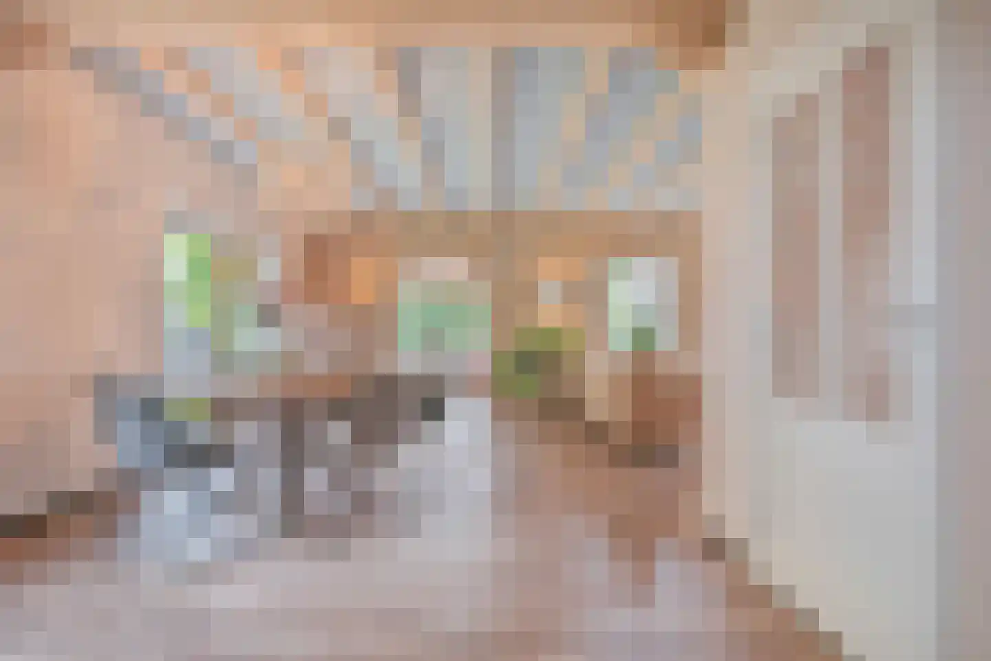 Blozekriekske 11 Nieuw-Vossemeer foto 2