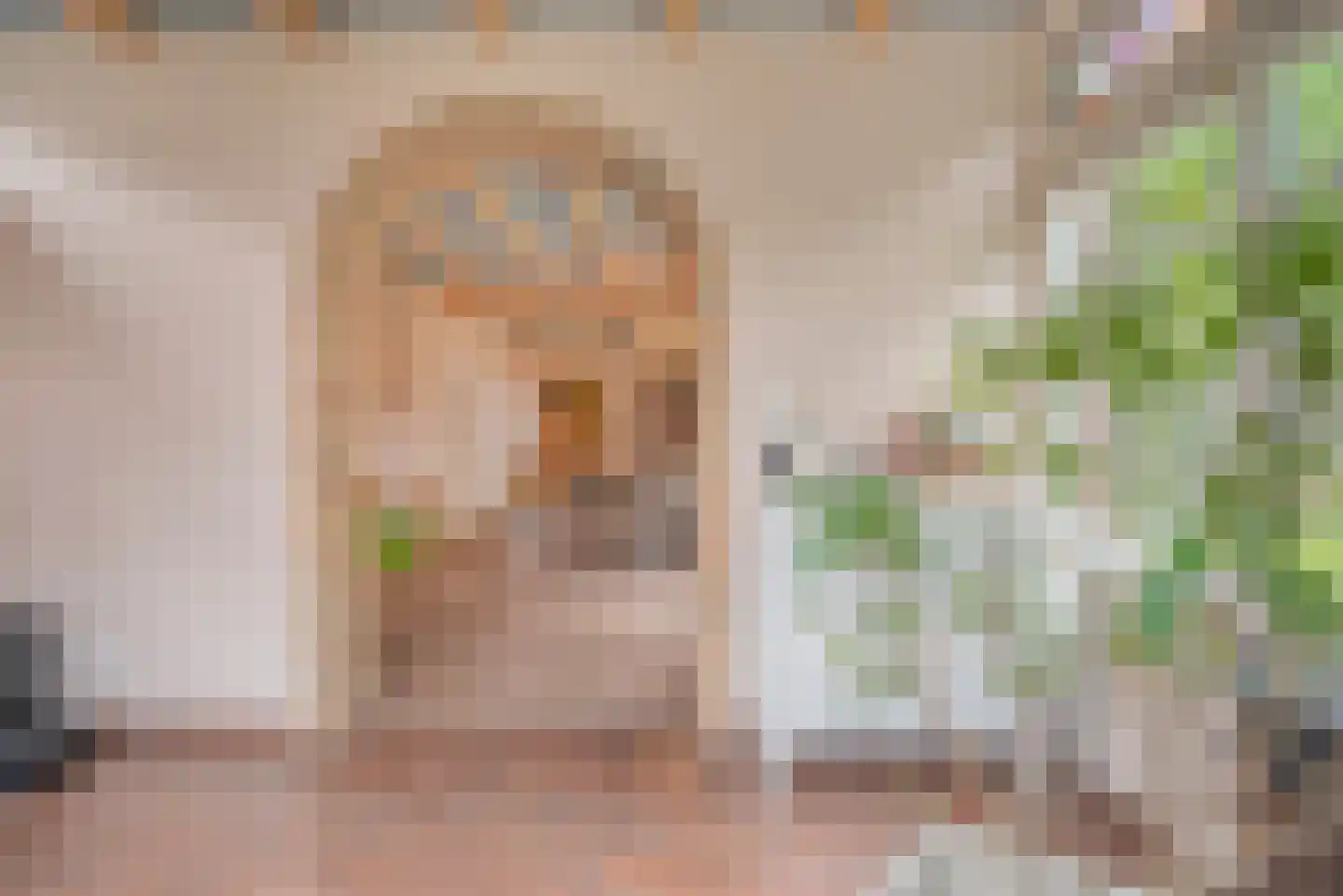 Blozekriekske 11 Nieuw-Vossemeer thumbnail 20