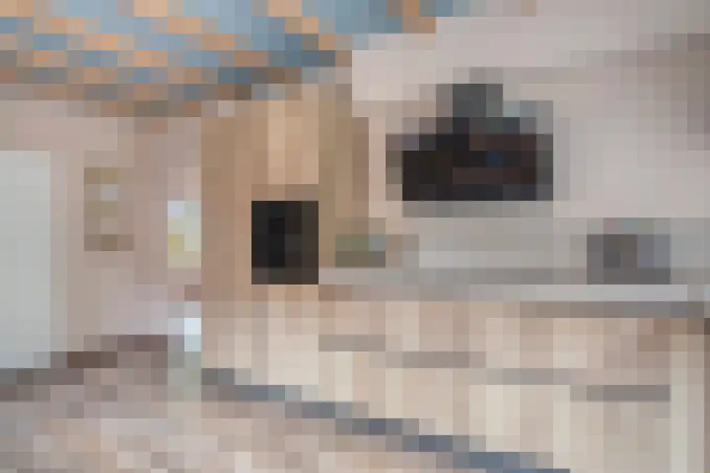 Blozekriekske 11 Nieuw-Vossemeer thumbnail 23