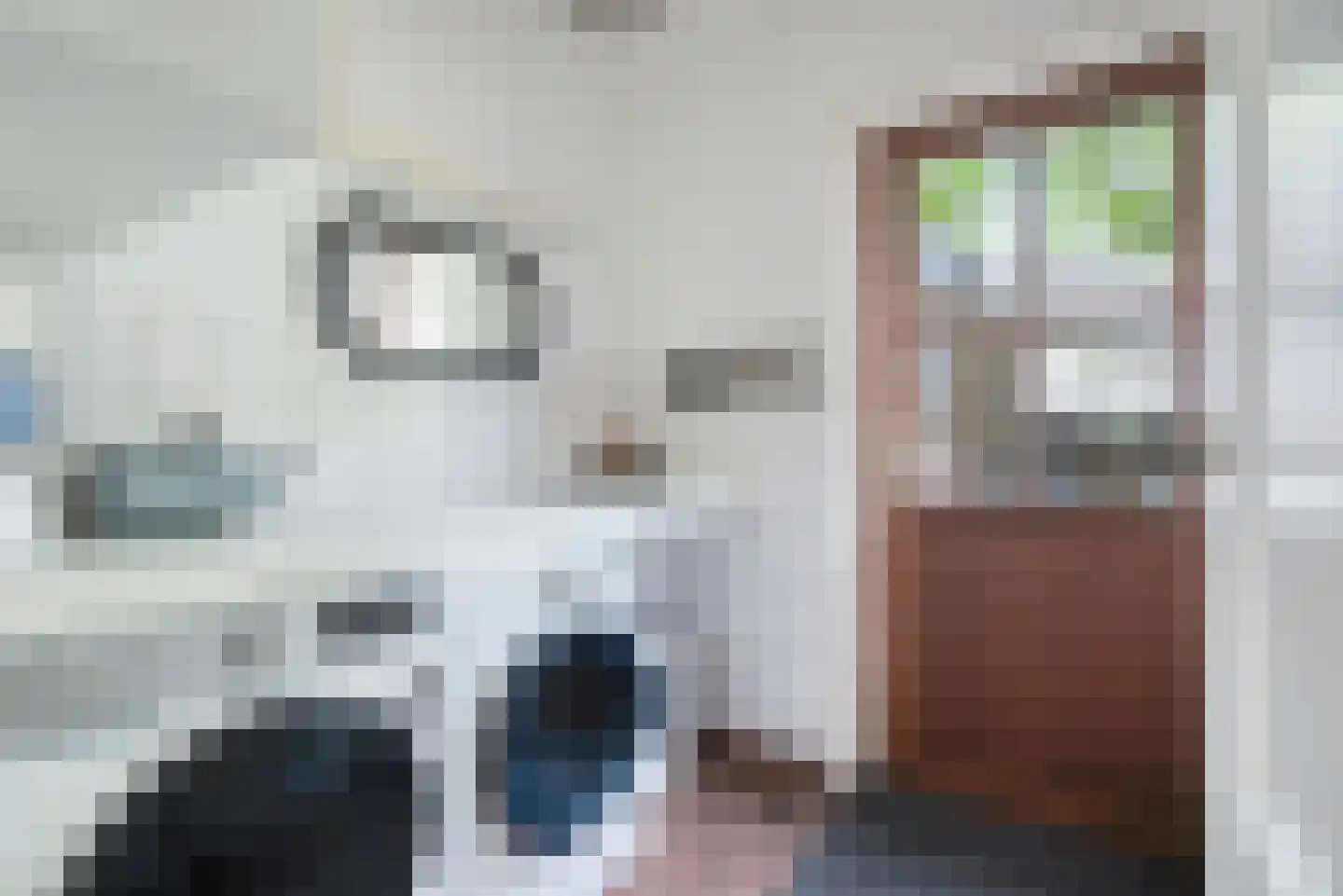 Blozekriekske 11 Nieuw-Vossemeer thumbnail 25