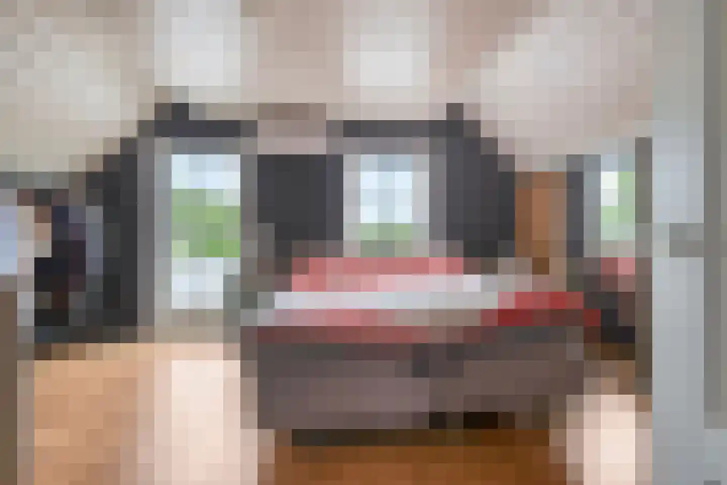 Blozekriekske 11 Nieuw-Vossemeer thumbnail 27