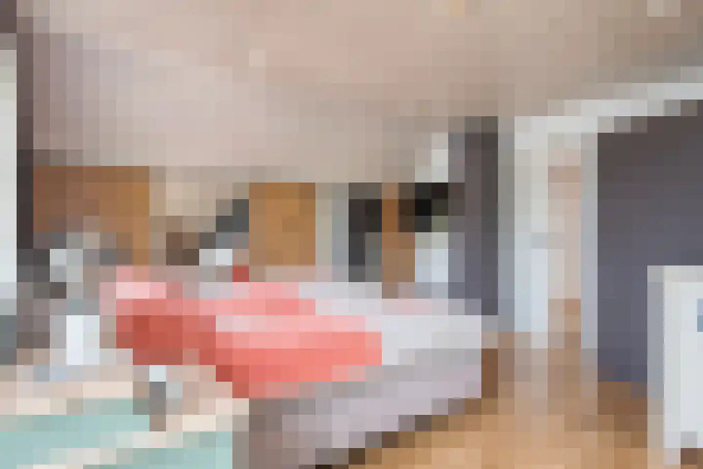 Blozekriekske 11 Nieuw-Vossemeer thumbnail 29