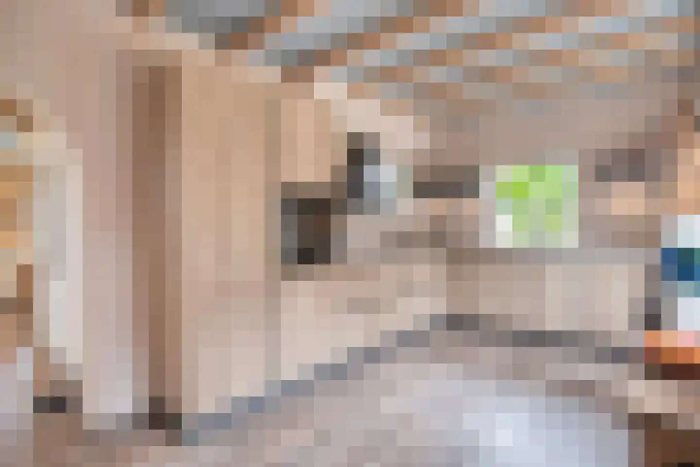 Blozekriekske 11 Nieuw-Vossemeer foto 3