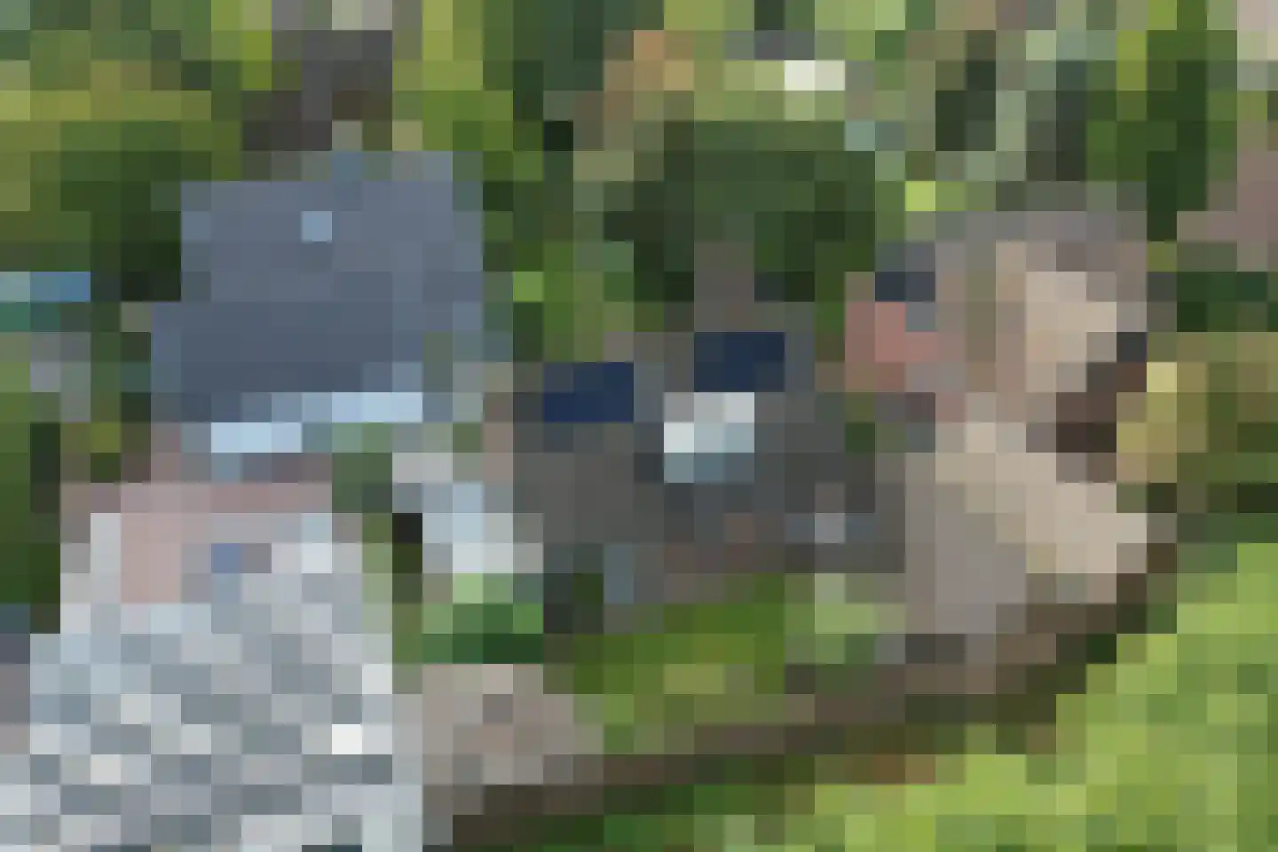 Blozekriekske 11 Nieuw-Vossemeer thumbnail 38