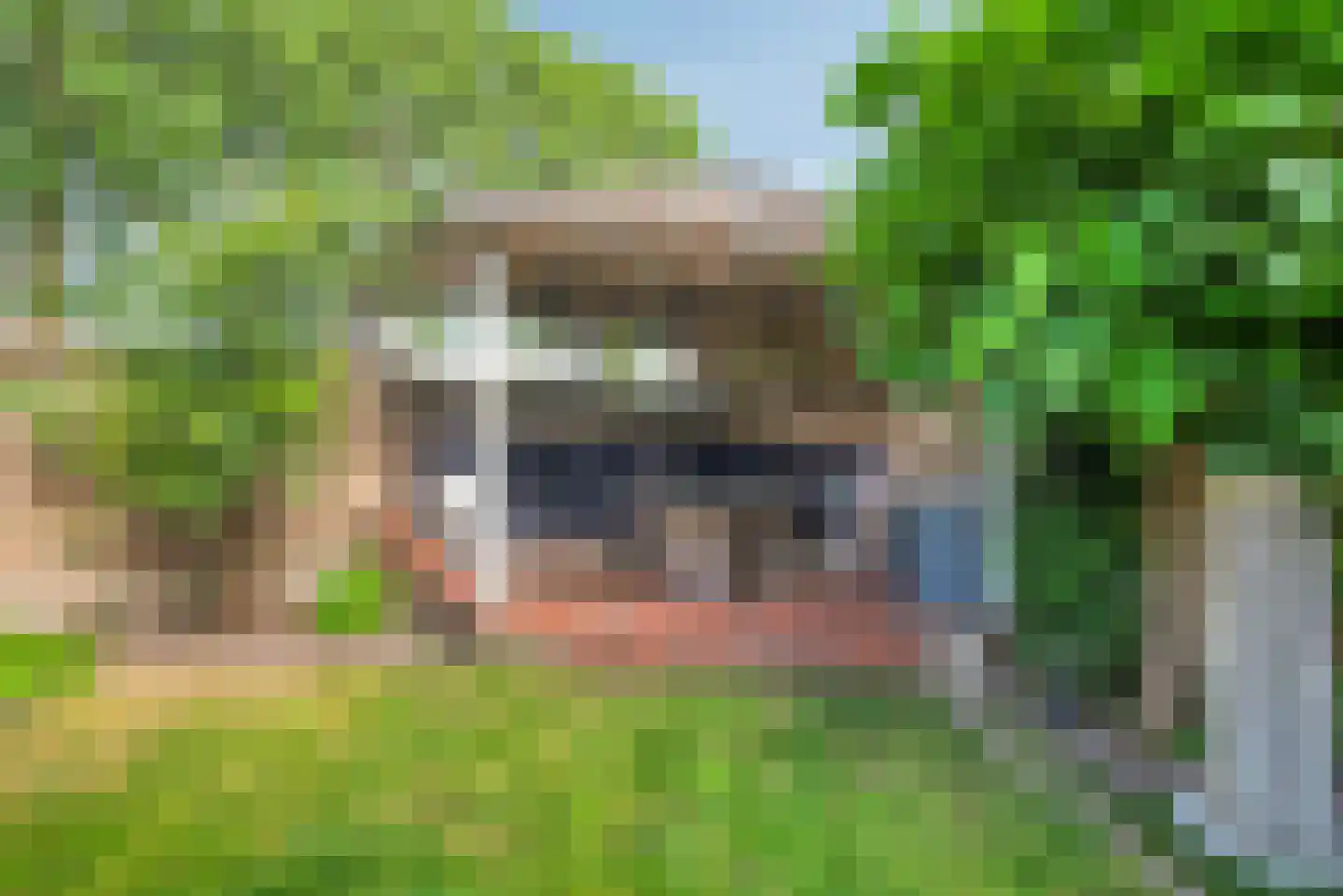 Blozekriekske 11 Nieuw-Vossemeer thumbnail 45