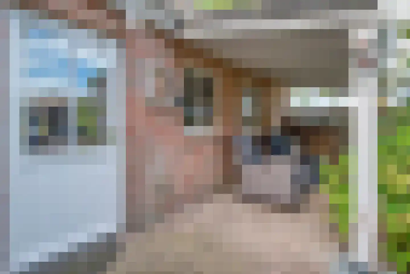 Blozekriekske 11 Nieuw-Vossemeer thumbnail 49