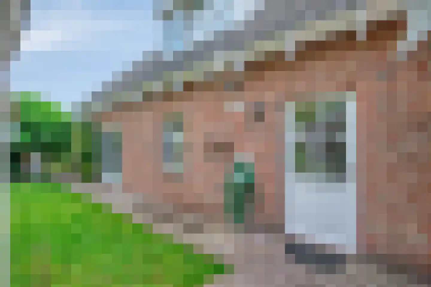 Blozekriekske 11 Nieuw-Vossemeer thumbnail 51