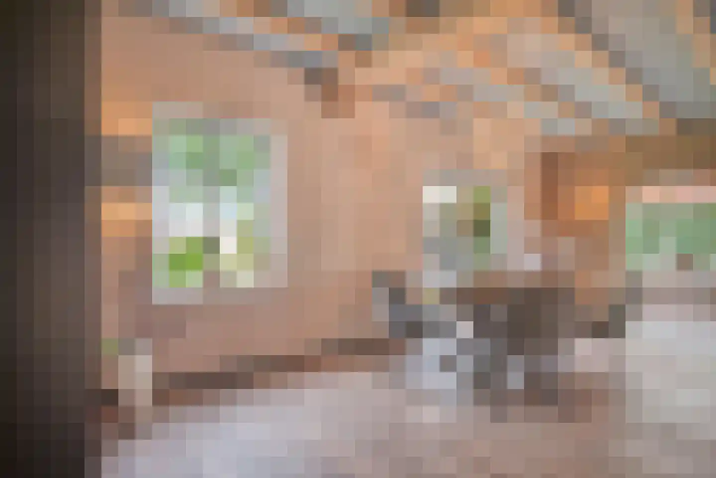 Blozekriekske 11 Nieuw-Vossemeer thumbnail 6