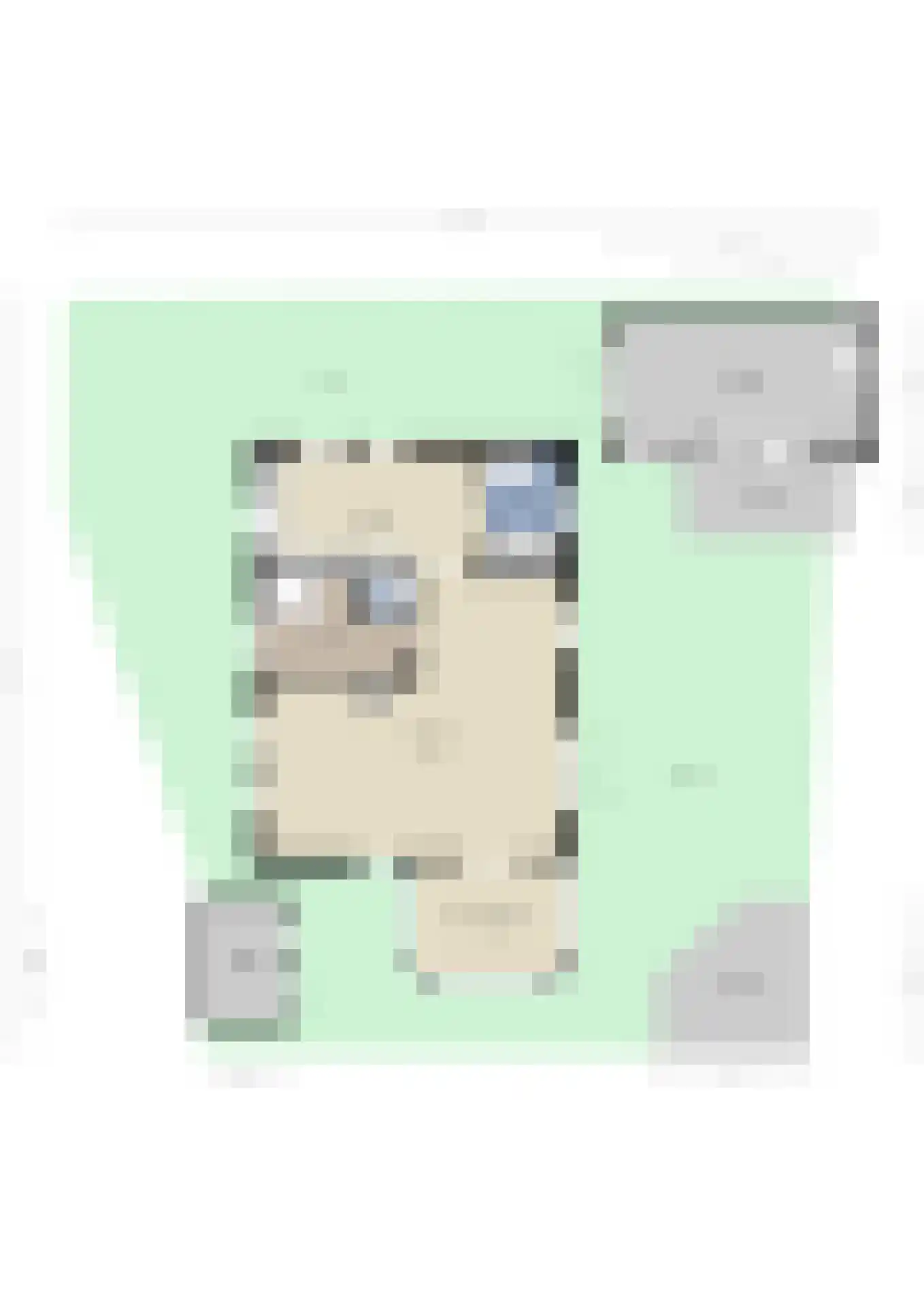 Blozekriekske 11 Nieuw-Vossemeer thumbnail 60