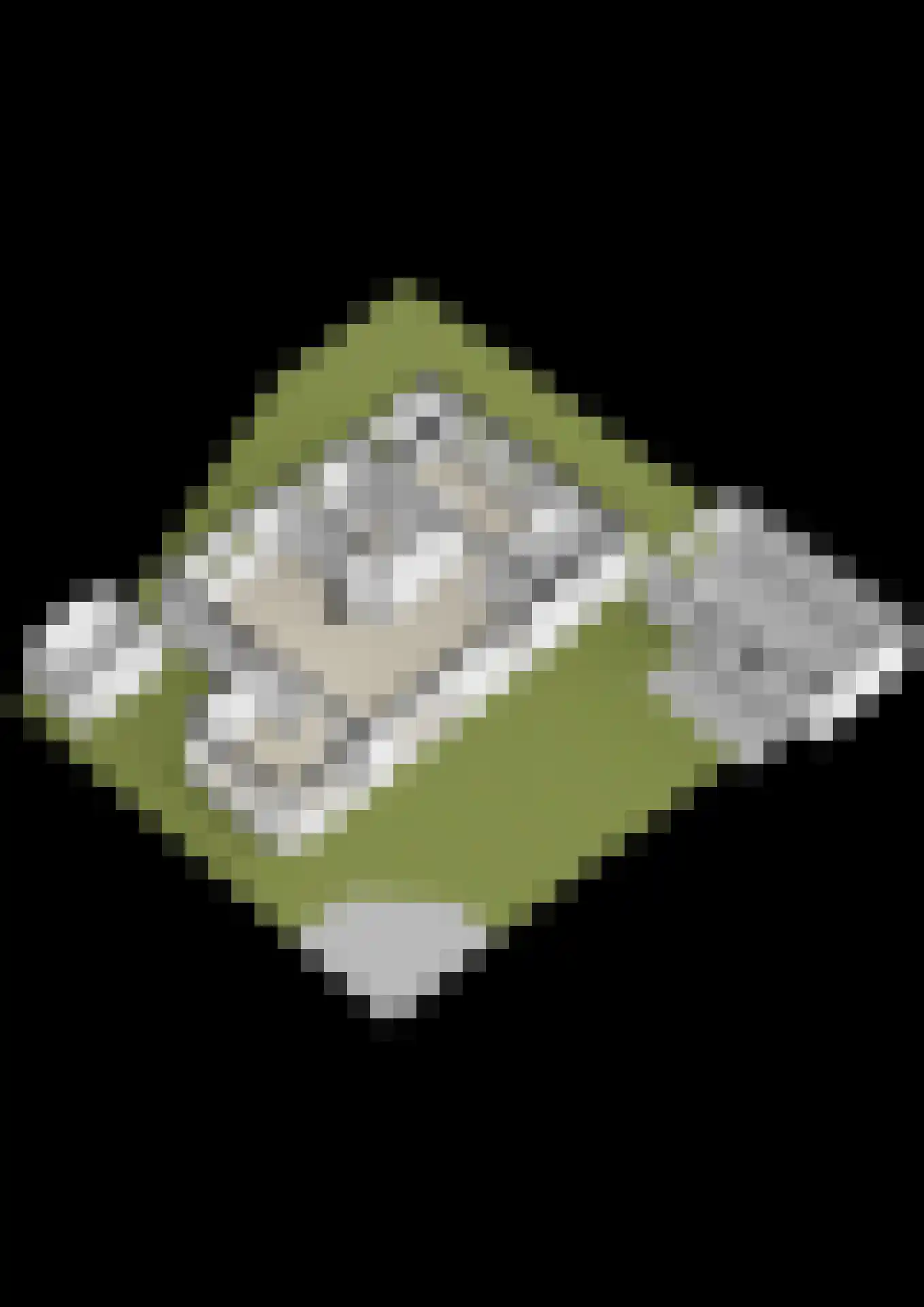 Blozekriekske 11 Nieuw-Vossemeer thumbnail 66