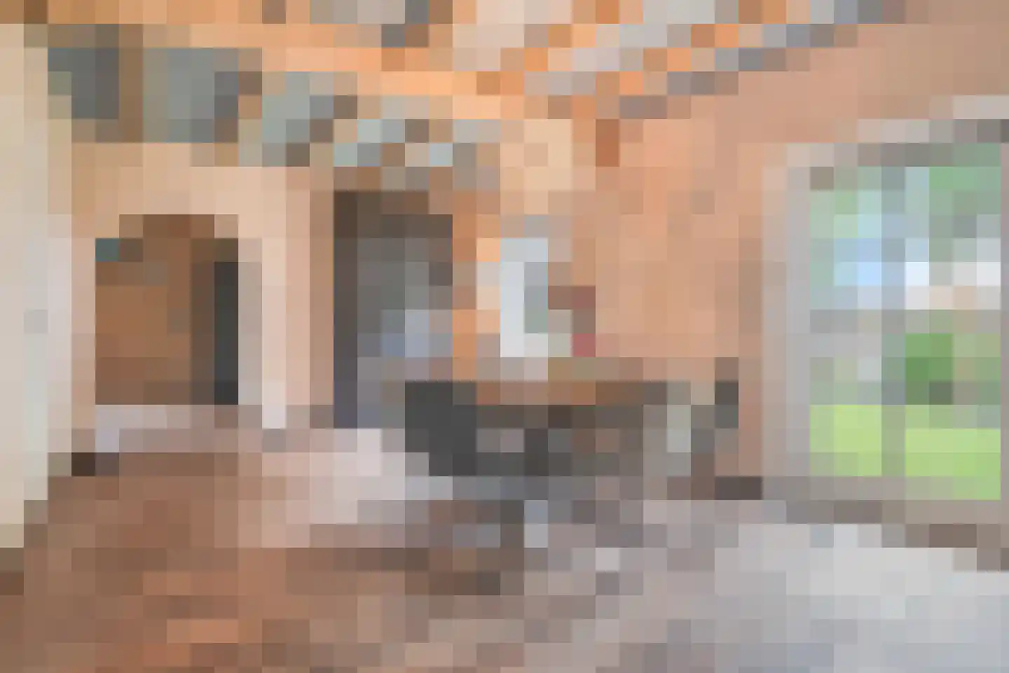 Blozekriekske 11 Nieuw-Vossemeer thumbnail 7