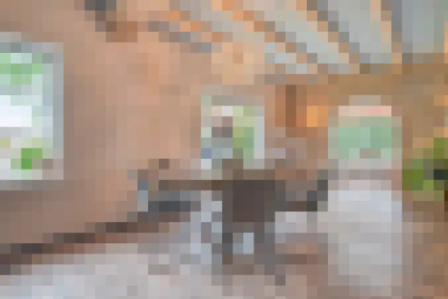 Blozekriekske 11 Nieuw-Vossemeer thumbnail 8