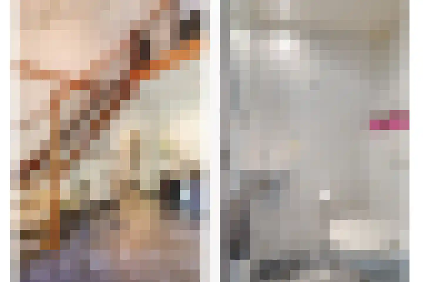 Blozekriekske 6 Nieuw-Vossemeer thumbnail 10