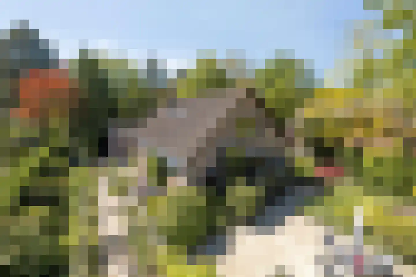 Blozekriekske 6 Nieuw-Vossemeer foto 2