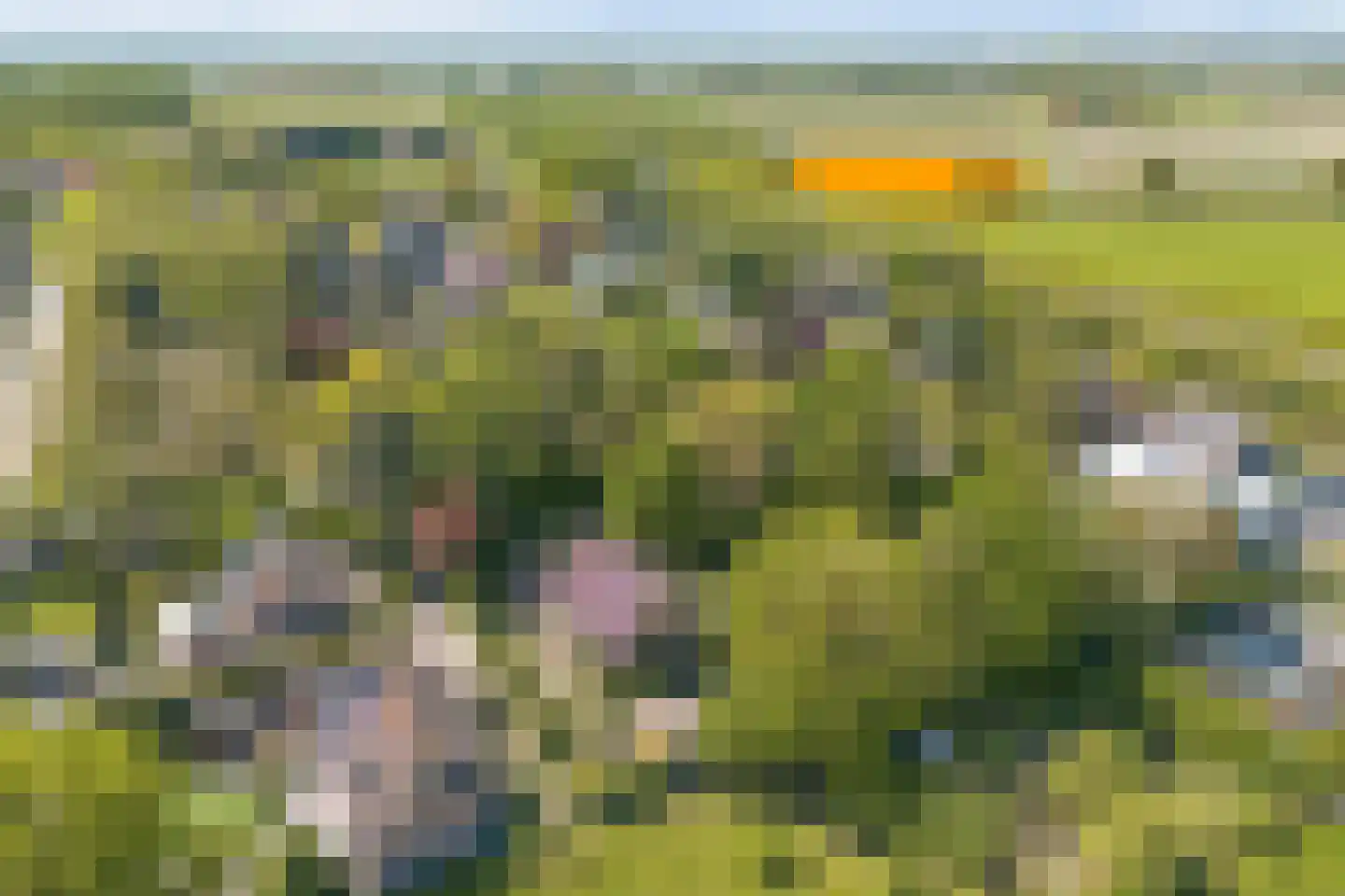 Blozekriekske 6 Nieuw-Vossemeer thumbnail 21