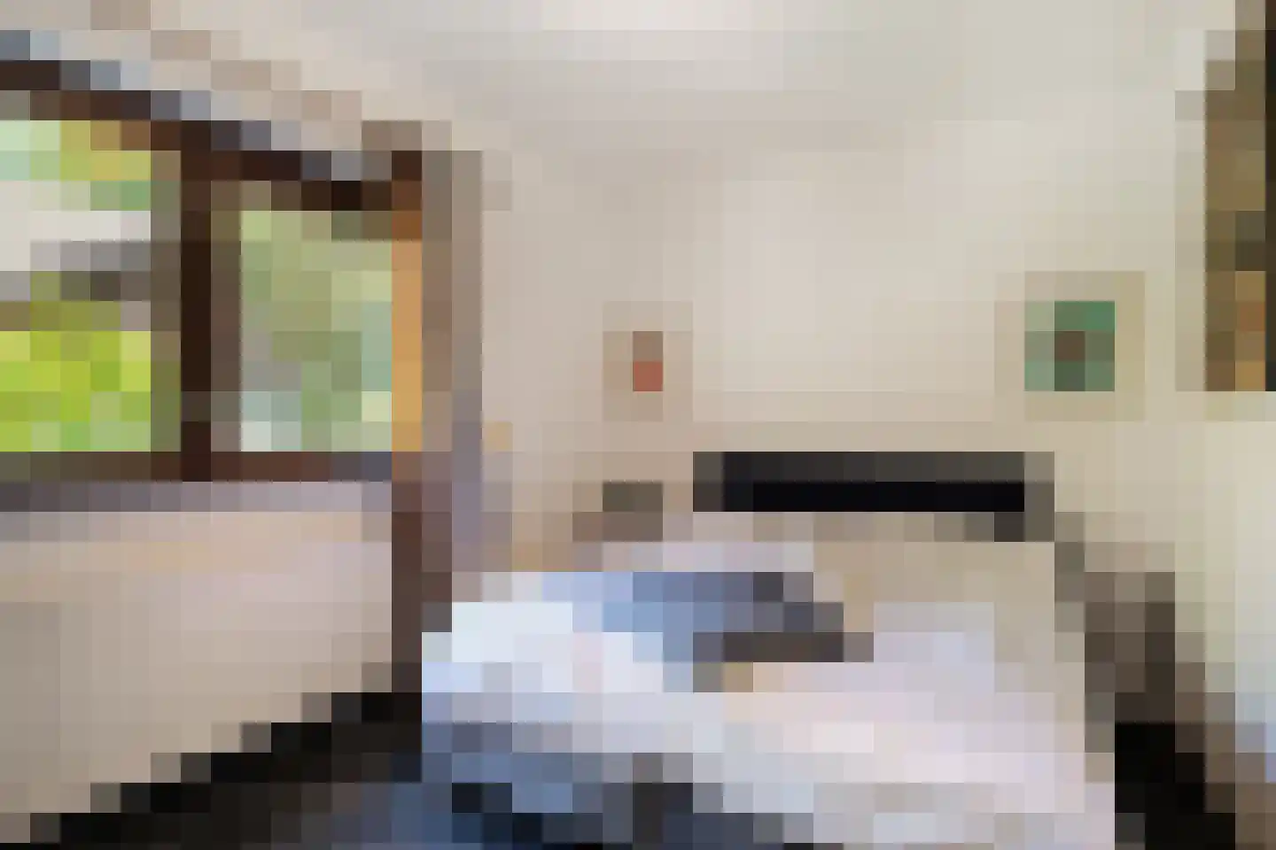 Blozekriekske 6 Nieuw-Vossemeer thumbnail 26