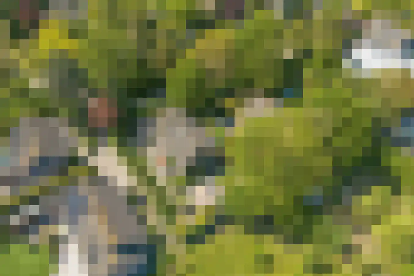 Blozekriekske 6 Nieuw-Vossemeer thumbnail 40