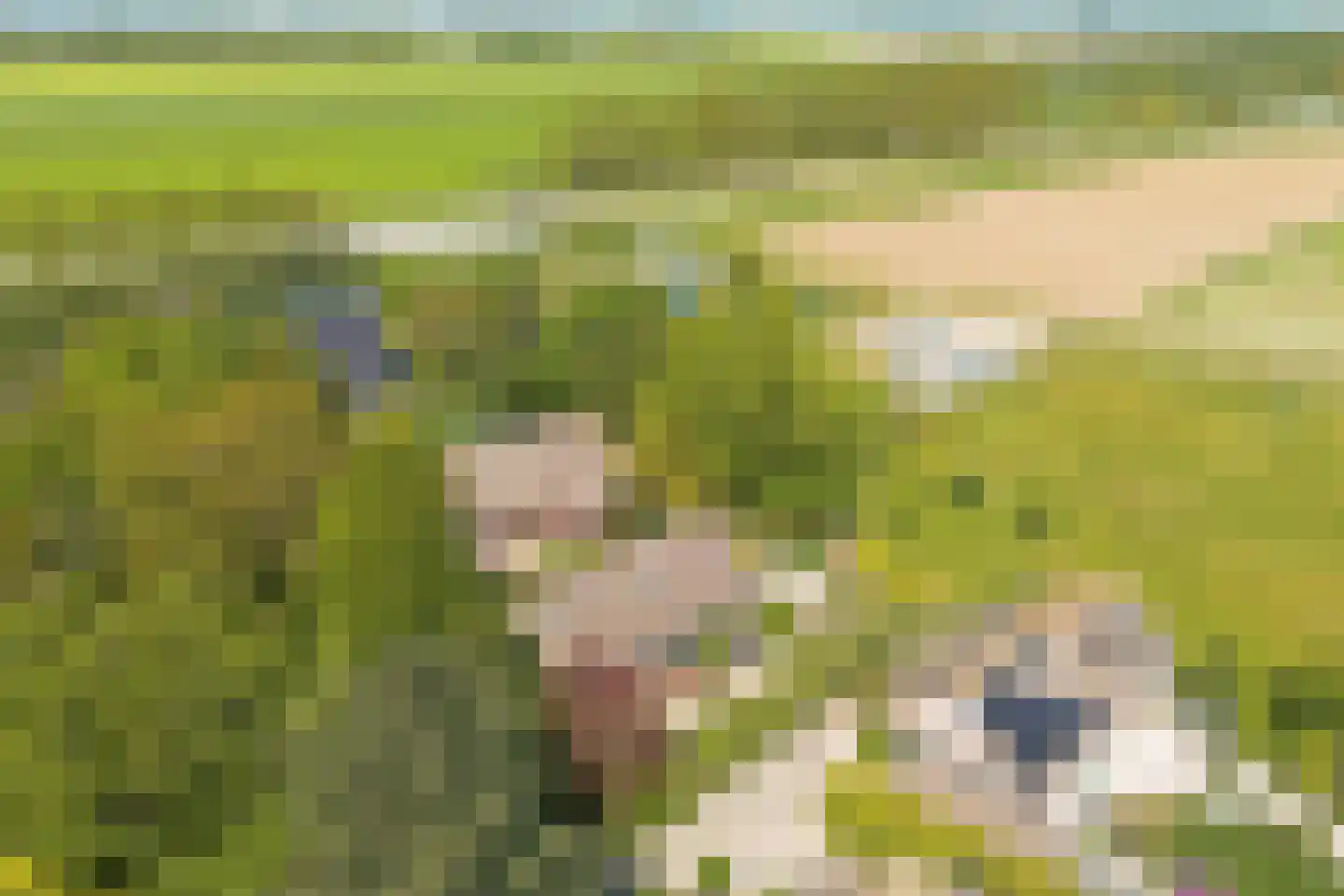 Blozekriekske 6 Nieuw-Vossemeer thumbnail 48