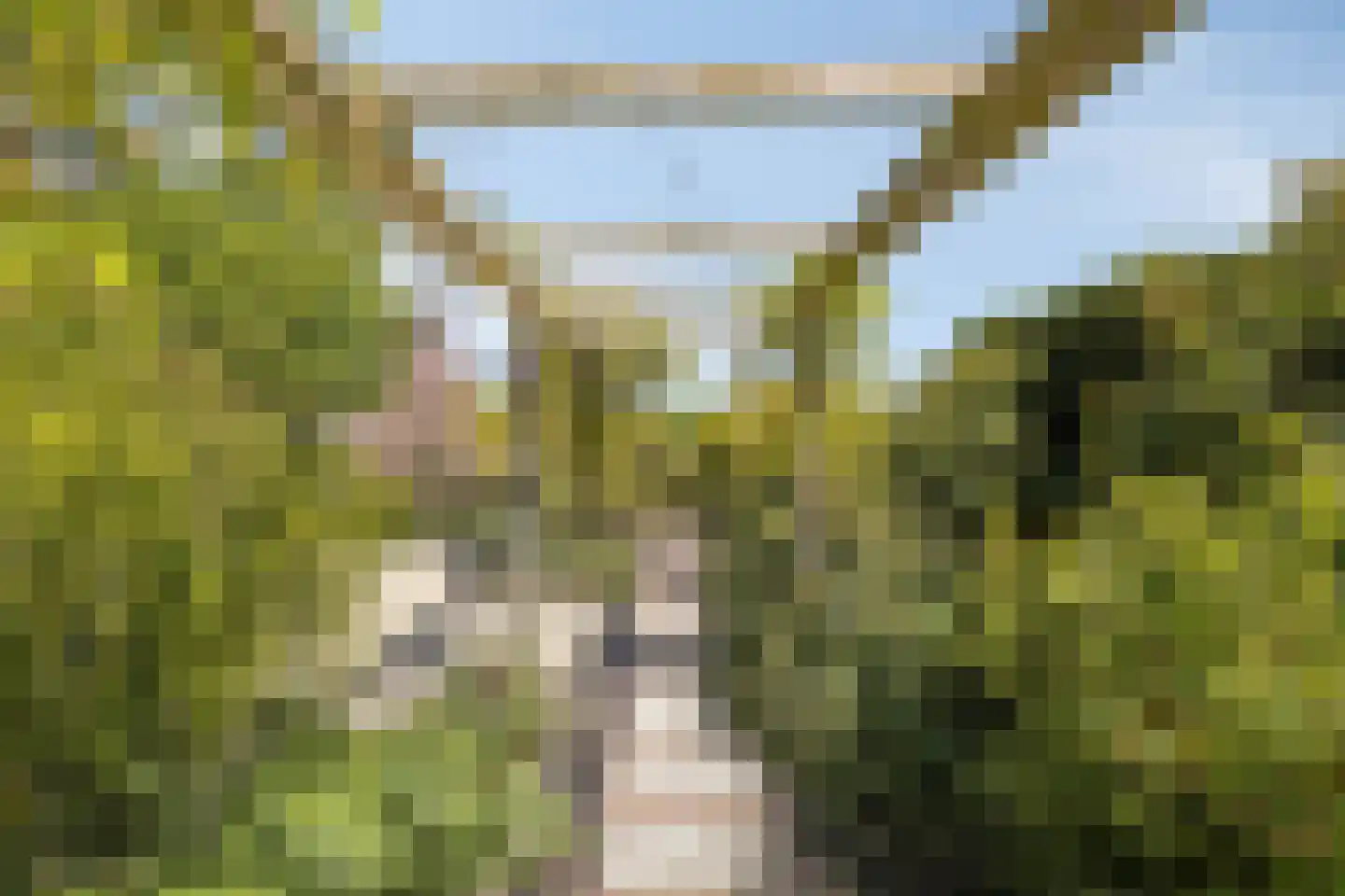Blozekriekske 6 Nieuw-Vossemeer thumbnail 49