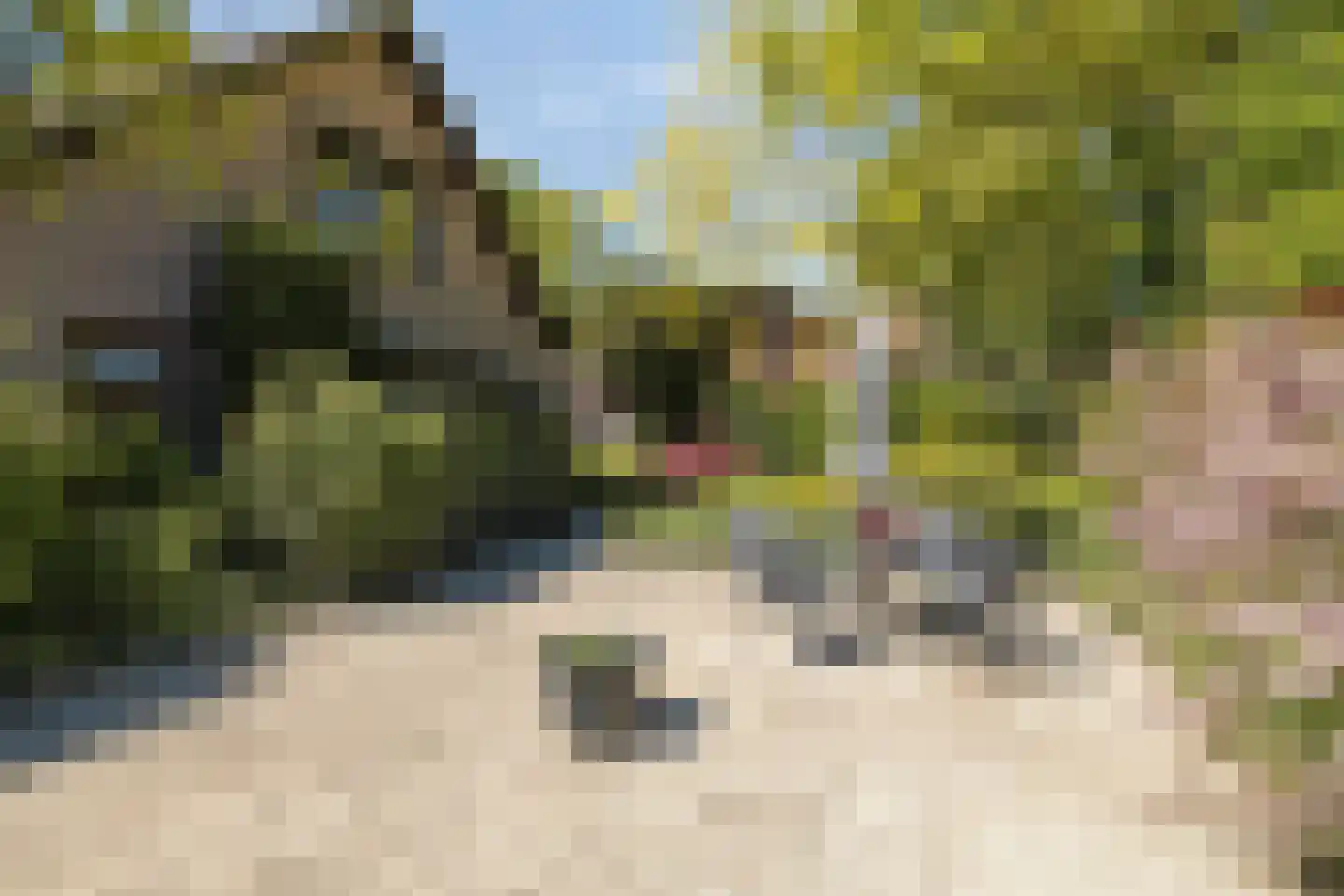 Blozekriekske 6 Nieuw-Vossemeer thumbnail 51