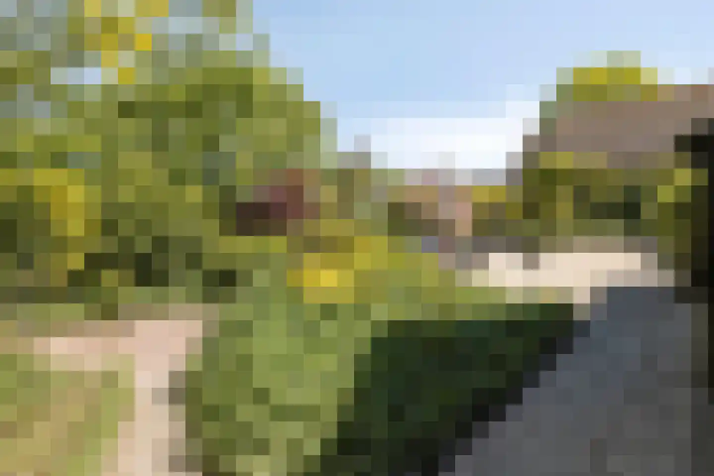 Blozekriekske 6 Nieuw-Vossemeer thumbnail 52