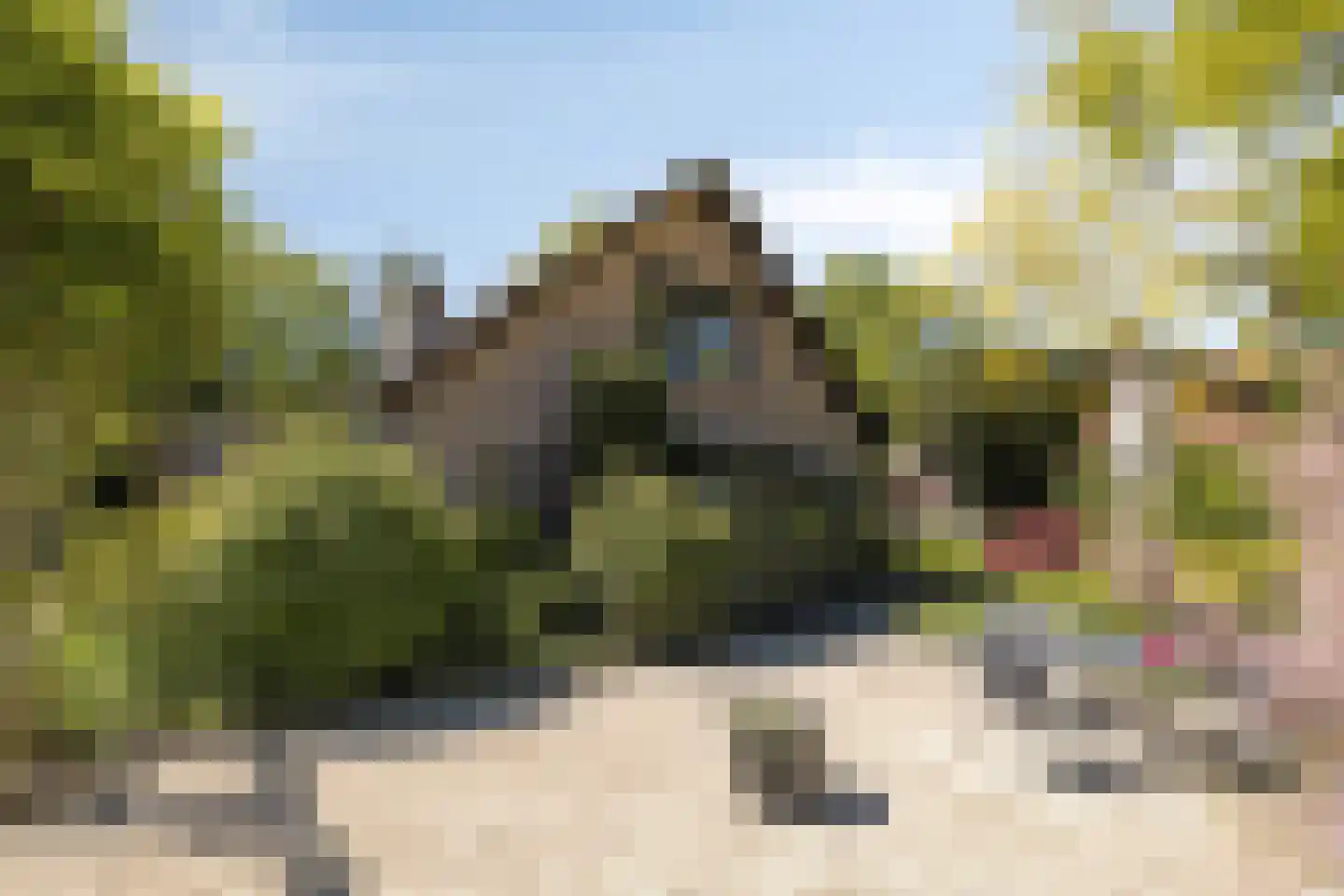 Blozekriekske 6 Nieuw-Vossemeer thumbnail 54