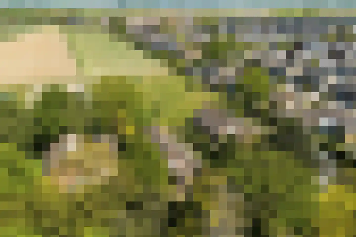 Blozekriekske 6 Nieuw-Vossemeer thumbnail 59