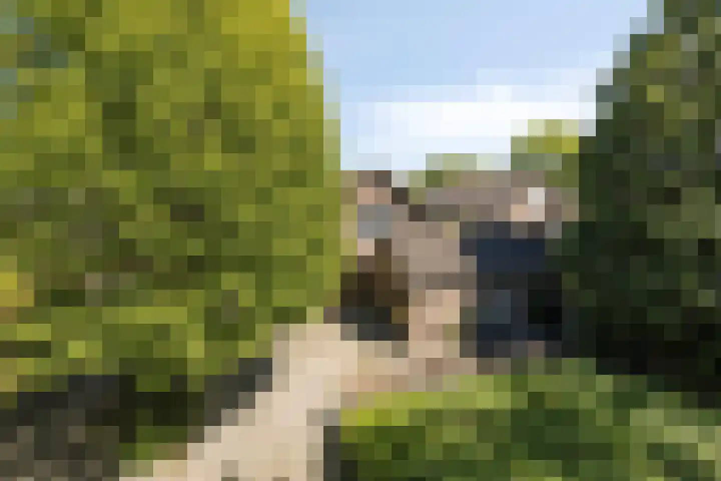Blozekriekske 6 Nieuw-Vossemeer thumbnail 60