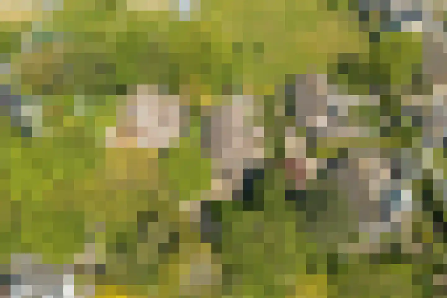 Blozekriekske 6 Nieuw-Vossemeer thumbnail 62
