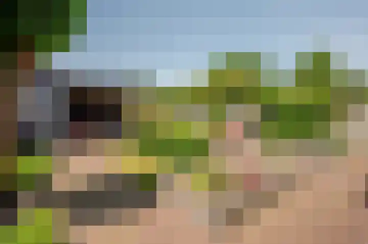 Bluesdreef 28 Harderwijk thumbnail 37