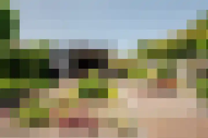 Bluesdreef 28 Harderwijk thumbnail 38