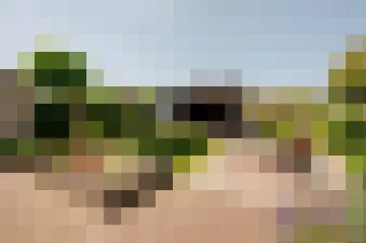Bluesdreef 28 Harderwijk thumbnail 39