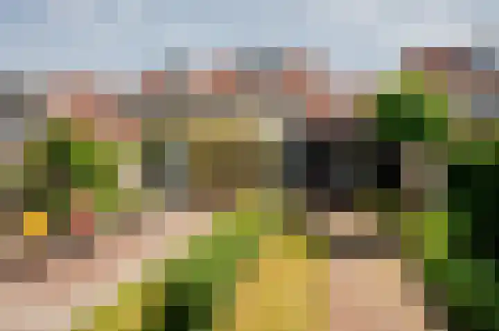 Bluesdreef 28 Harderwijk thumbnail 43