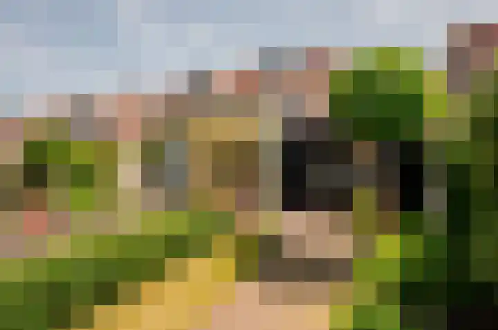 Bluesdreef 28 Harderwijk thumbnail 44