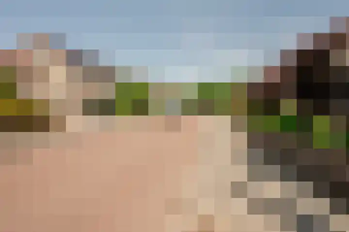 Bluesdreef 28 Harderwijk thumbnail 48