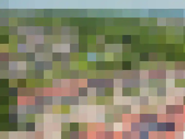 Bluesdreef 28 Harderwijk thumbnail 51