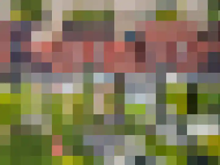 Bluesdreef 28 Harderwijk thumbnail 54