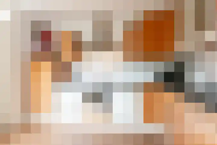 Bluesdreef 5 Harderwijk thumbnail 16