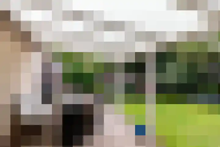 Bluesdreef 5 Harderwijk thumbnail 32