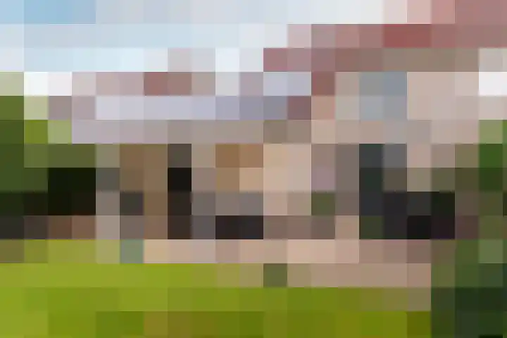Bluesdreef 5 Harderwijk thumbnail 33