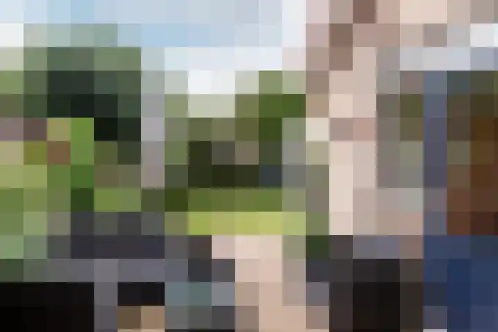 Bluesdreef 5 Harderwijk thumbnail 35
