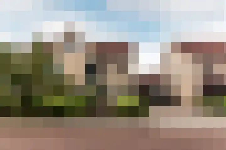 Bluesdreef 5 Harderwijk thumbnail 40